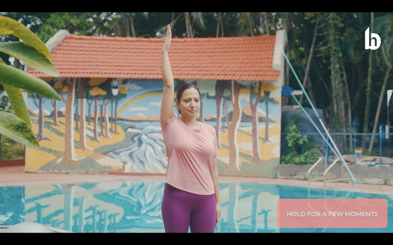 Shoulder flexion standing