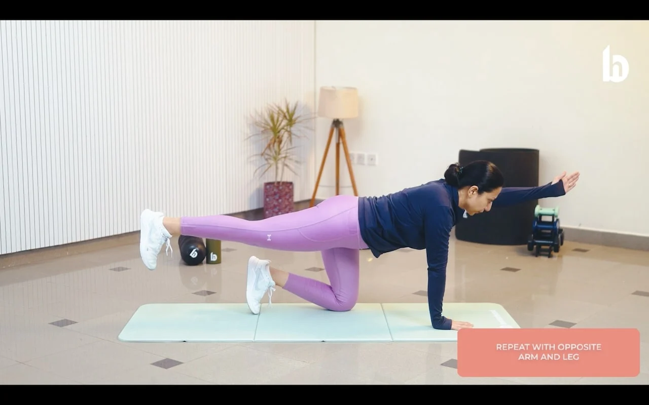 Quadruped Exercise