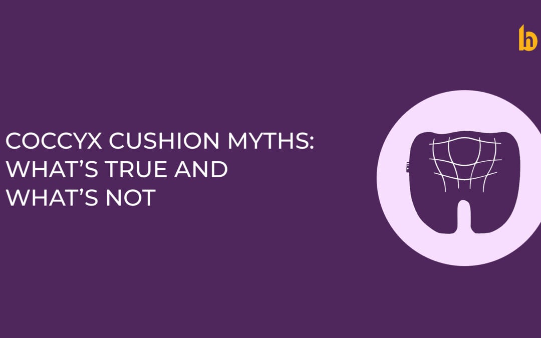 Coccyx Cushion Myths Debunked: What’s True and What’s Not