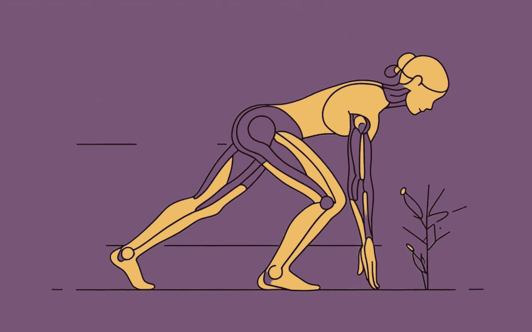 Foundations of Posture: Science Behind Alignment and Wellbeing