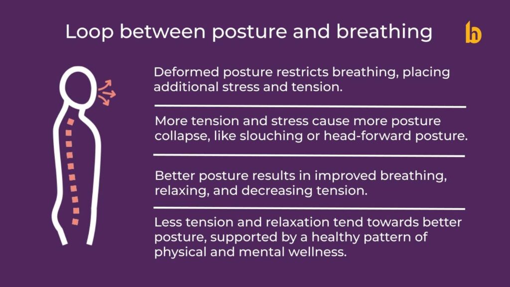 The Feedback Loop Between Posture and Breathing