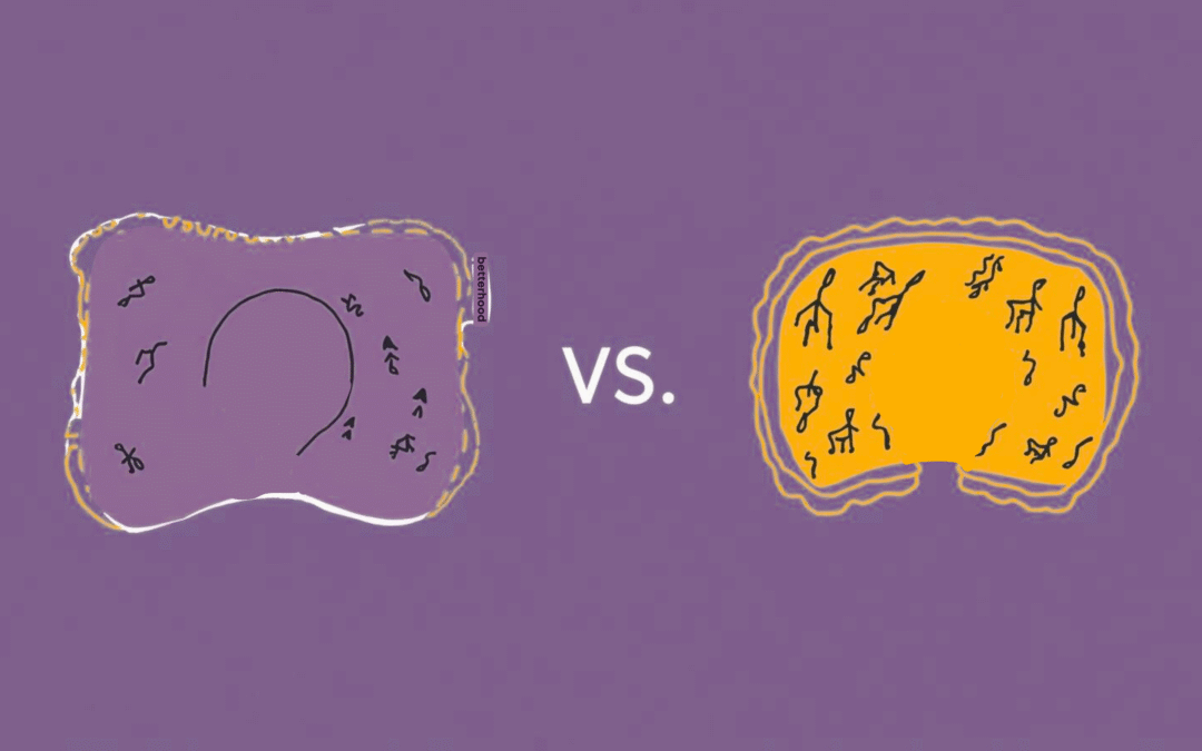 Contour Pillow vs Cervical Pillow: Key Differences, Benefits & Which Is Better?