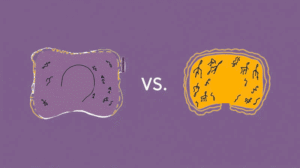 Contour Pillow vs Cervical Pillow