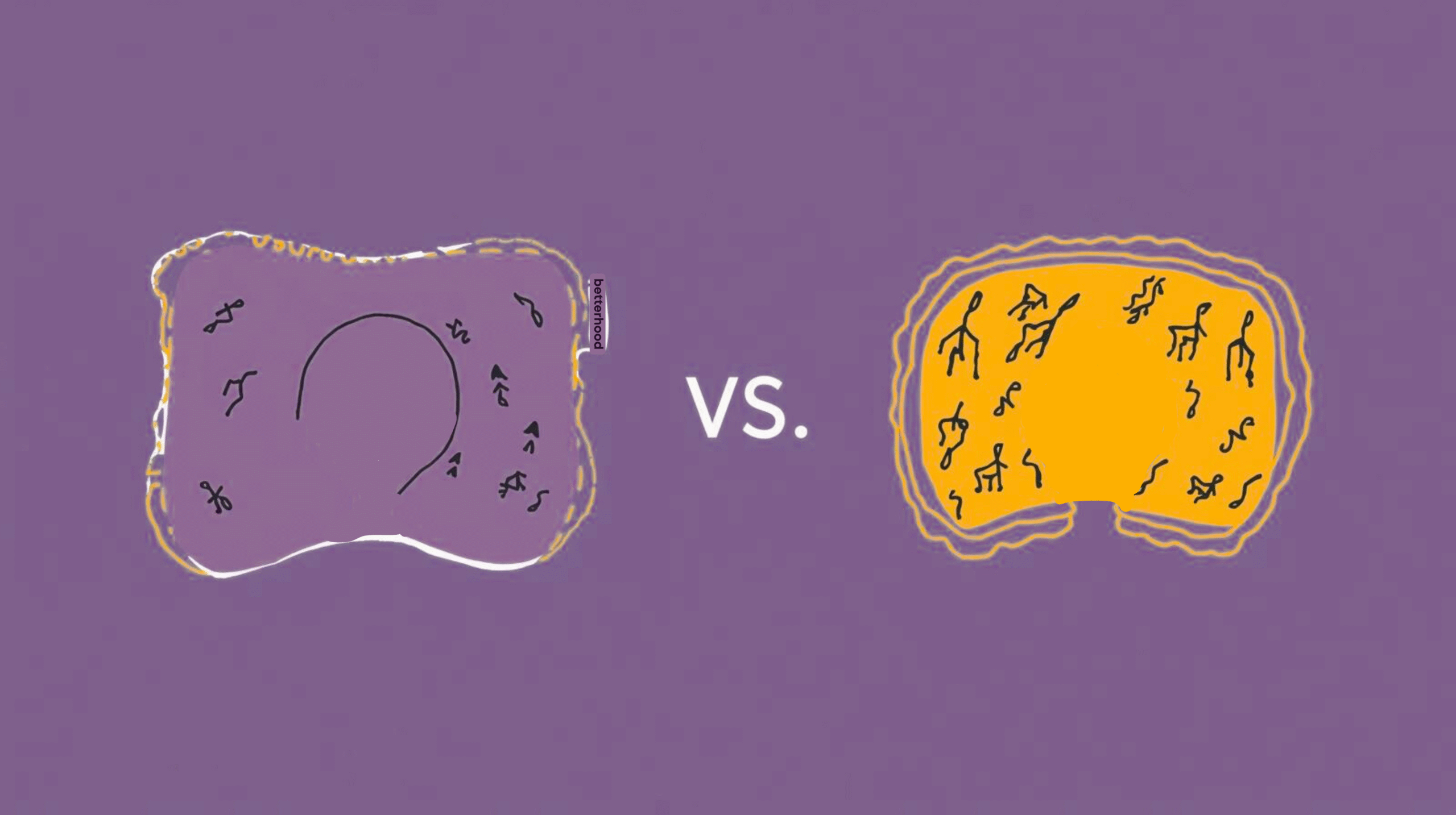 Contour Pillow vs Cervical Pillow