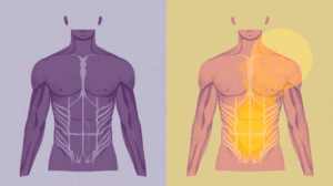 Illustration of a person standing with strong posture, highlighting core muscles in the abdomen and back, symbolizing strength beyond appearance.