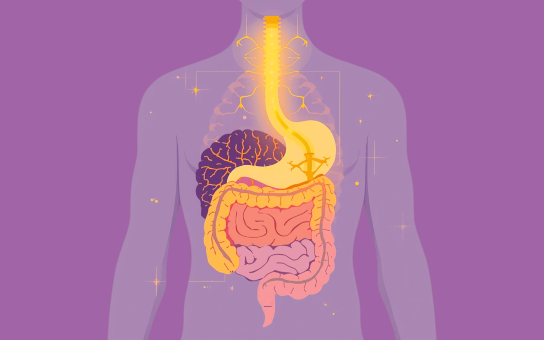 The Gut-Headline: Why Mental Health Starts Below the Neck