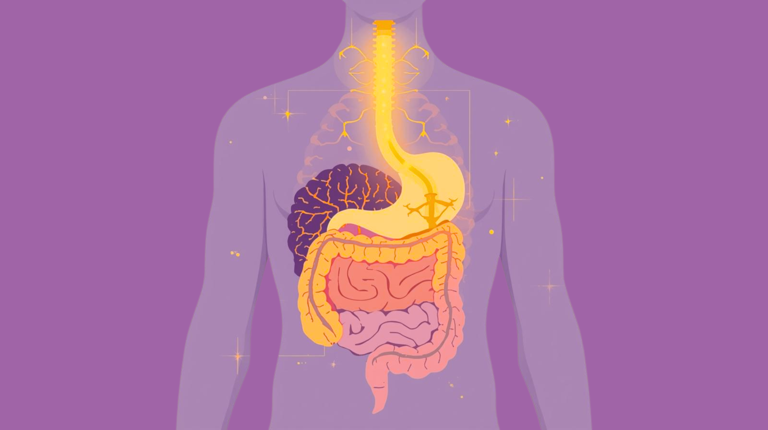 Gut Health Illustration showing the gut and brain connected by neural pathways, highlighting the gut-brain connection and its role in mental health.