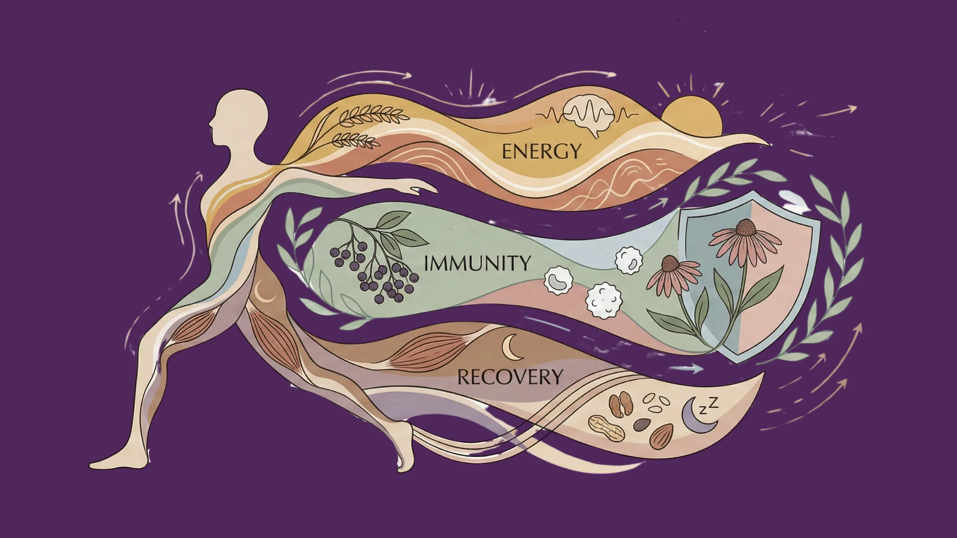 Components of a balanced diet: Energy, Immunity and Recovery Boost