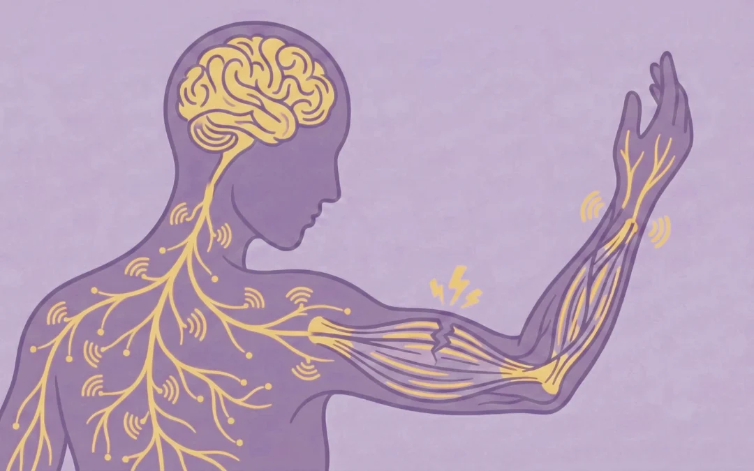 Nerve Tissue Regeneration: Topical Aids for Neural Healing