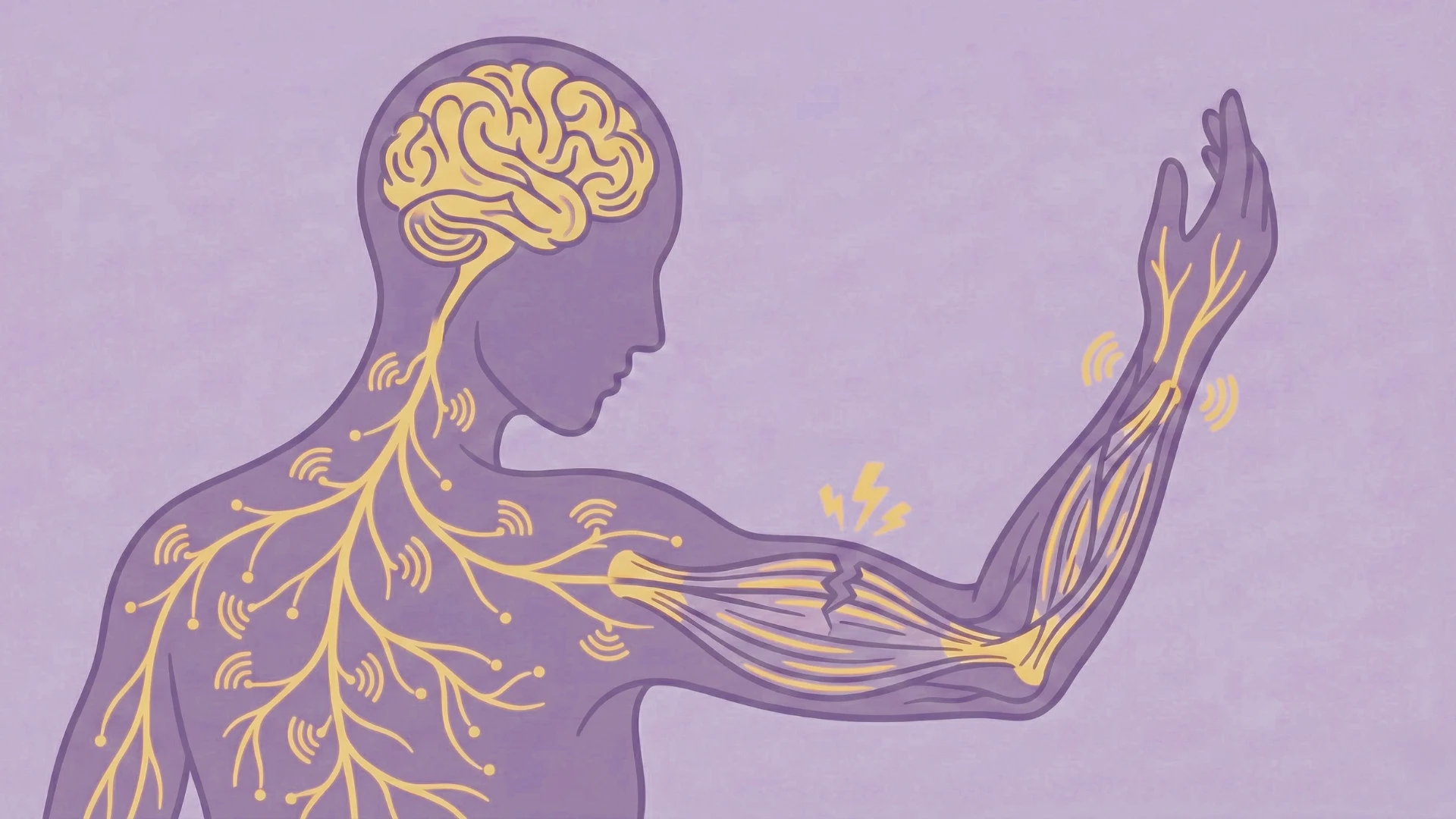 Nerve Tissue Regeneration: Topical Aids for Neural Healing Nerve tissue