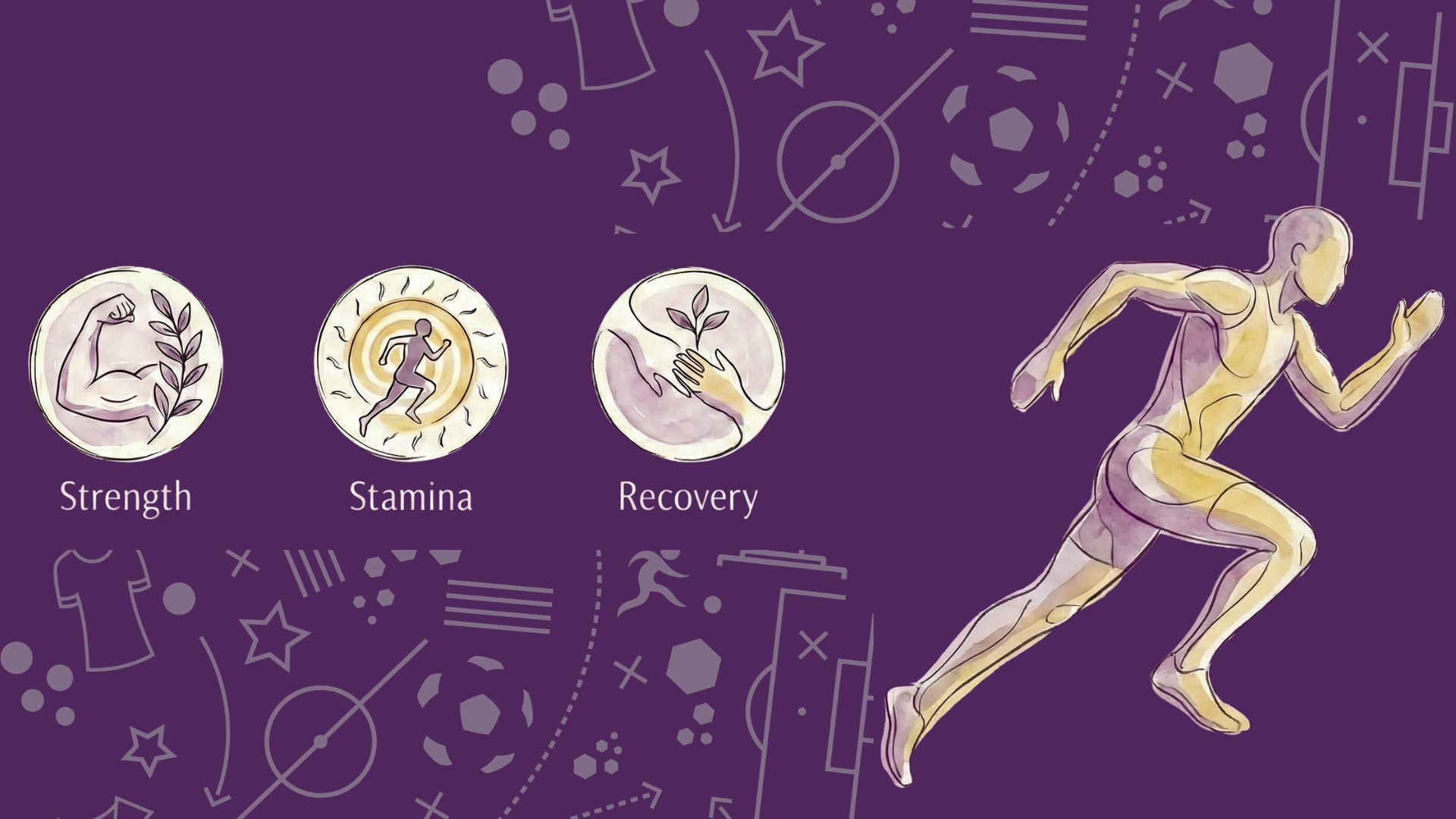 Sports Nutrition and recovery sports nutrition plan for athletes