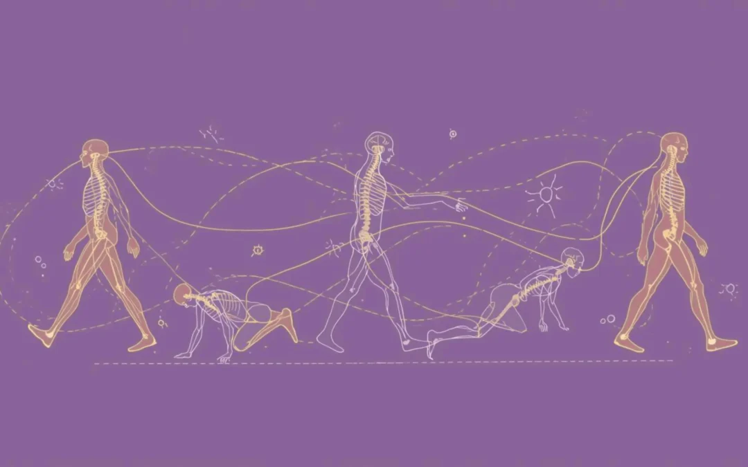 The Movement Buffet: Why Variety Builds Longevity