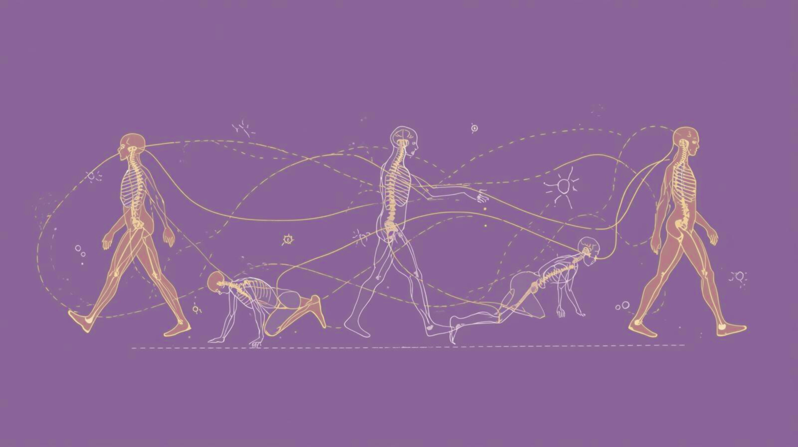 An illustration of a human figure moving through varied patterns such as walking, cross-crawling, spinal rotation, and side bending, symbolizing movement diversity and long-term vitality.