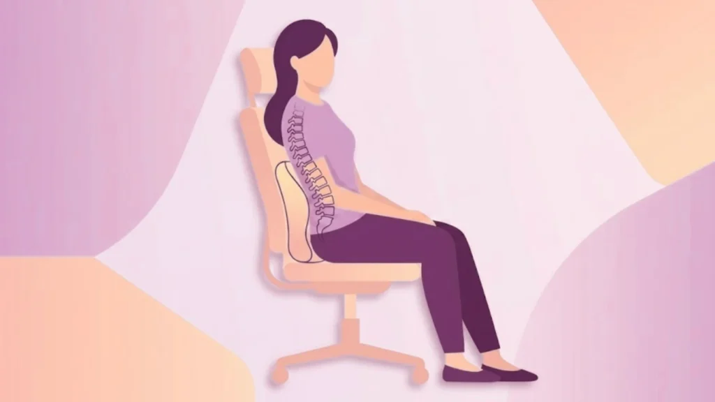 Back Support in Chair for Better Posture and Comfort